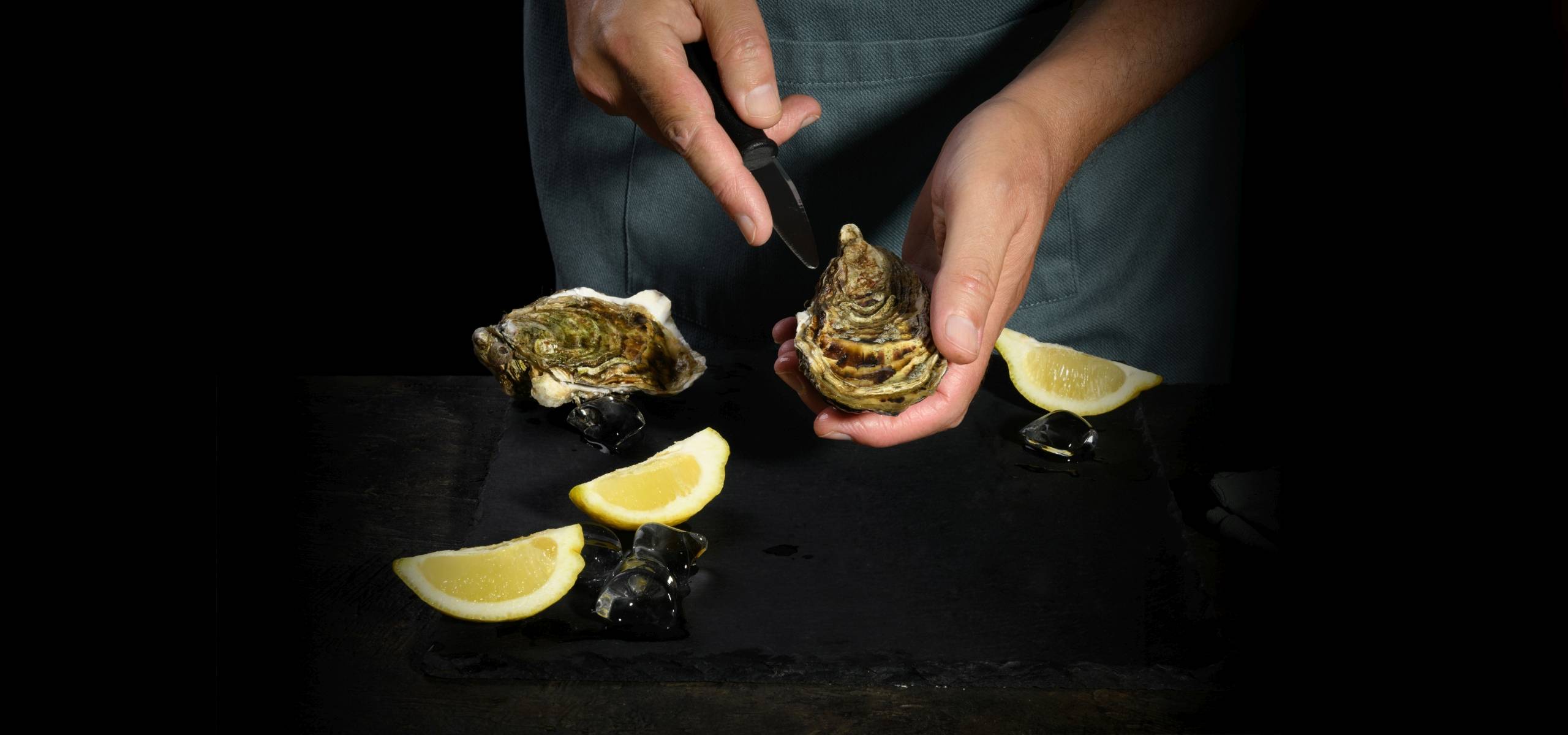 prime_oyster_page_slider